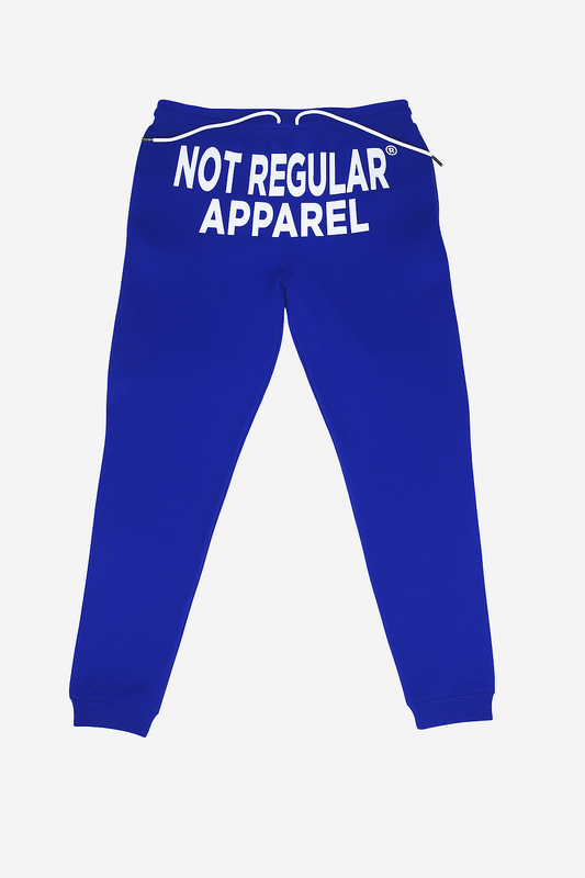 BLUE NOT REGULAR JOGGERS