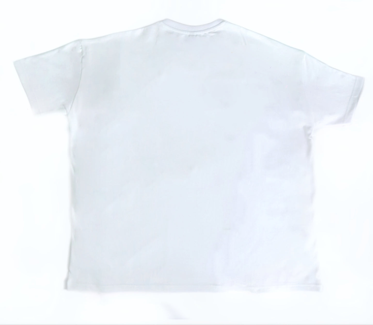 NOT REGULAR WHITE TSHIRT